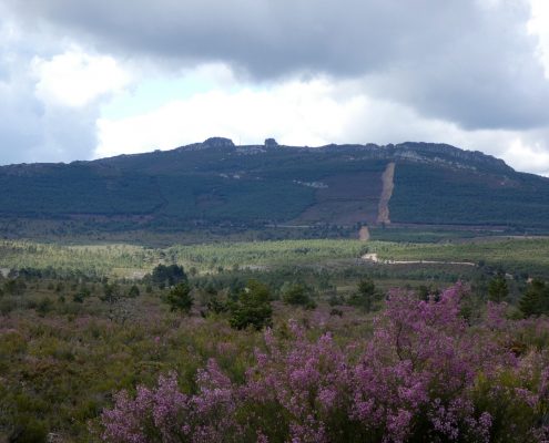 Paisaje de La Sierra de La Culebra